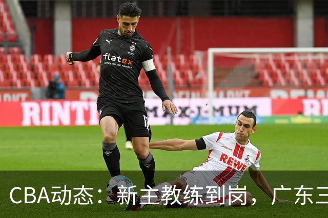 CBA动态：新主教练到岗，广东三大外援遭挖角，威姆斯谈杜锋离职